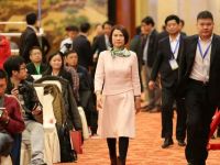 执着银隆新能源只为格力造车？其实你不懂董明珠