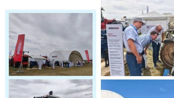 跨文化共舞，跨山海共赢，山东重工品牌本地化再深入