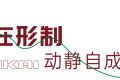 当美学遇见盛景，与安凯E12S共赴一场城市漫游
