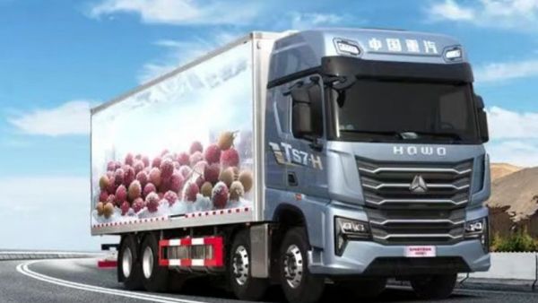 荔枝鲜行记：从枝头到餐桌，豪沃TS7冷藏车让鲜甜如约而至