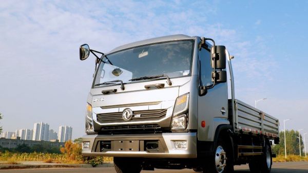 金秋飞龙起，丰收情更浓——东风多利卡飞龙闪耀上市，诚意满满