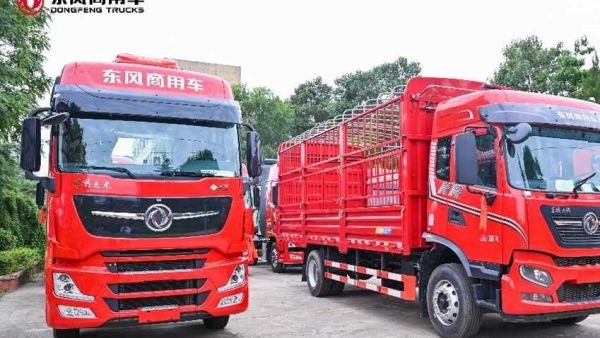 西广冷链吴伟：燃气重卡首选东风，携手打造冷链物流新标杆