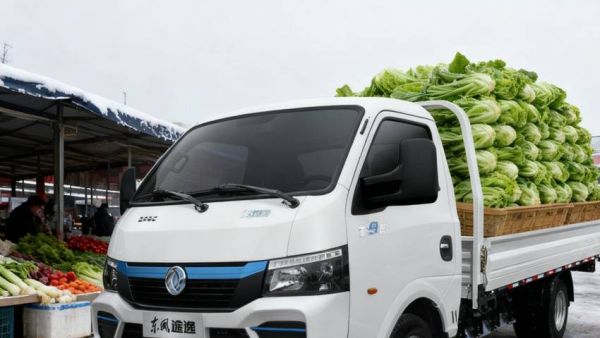 全年都是致富季，全能还得看东风途逸