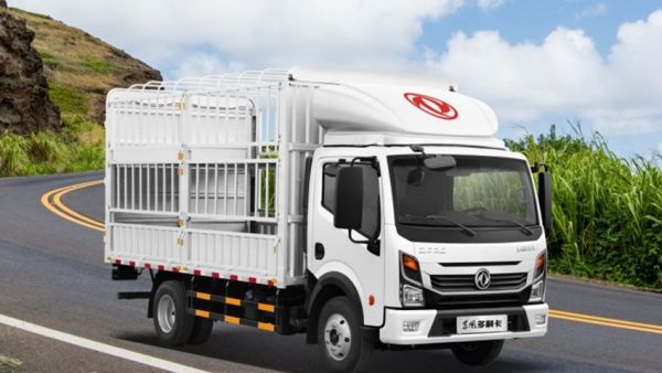 蓝牌极限卡车怎么选？东风多利卡康陆威：大六米轻卡最优解