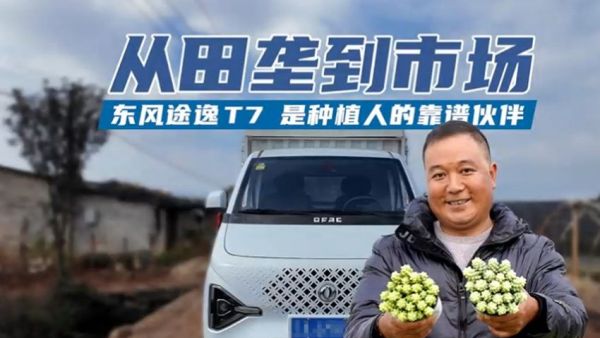 稳稳的幸福，东风途逸T7成为“最踏实”伙伴