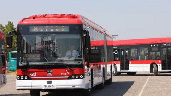 开门红！比亚迪获2026年1月新能源客车出口冠军