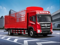 用户心中的全能型选手就是——东风华神T5载货车