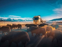 再获大奖！东风天龙KX经典版荣膺2021年“高效货物运输创富车型”称号