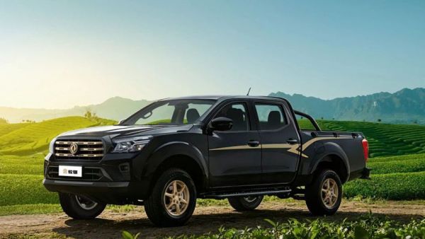 骐迹20载｜从草原到茶山：不同的征途，同一份信任