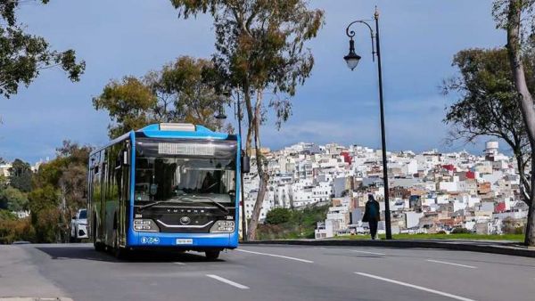 从赛事服务到城市动脉：723辆宇通客车成为摩洛哥流动风景线