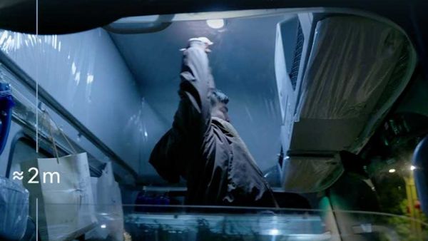 惊蛰 | 春雷一声响 世间皆舒展