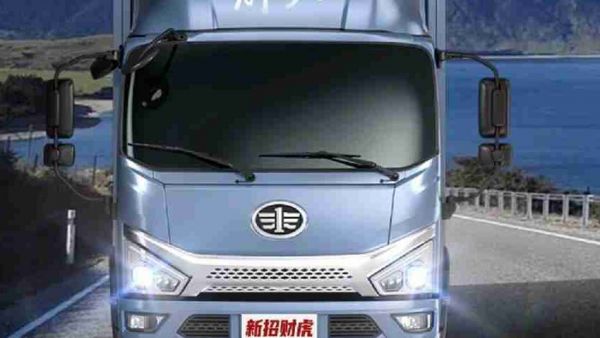 颜值高、体格强、腿脚快，新招财虎哪哪儿都好