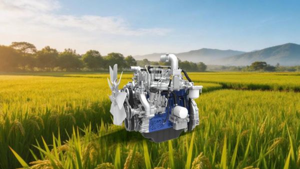 大国丰景｜海南三亚“喜开镰” 潍柴WP3.6N护航早稻颗粒归仓