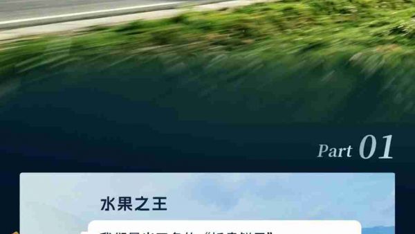 “水果之王”的考验，看“全勤之王”如何应对！