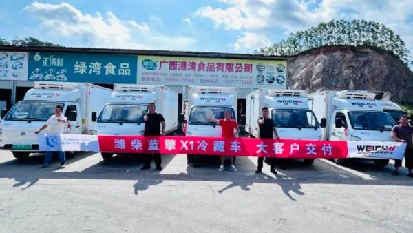 实力交付！潍柴蓝擎X1冷藏小卡赋能县域物流焕新升级！