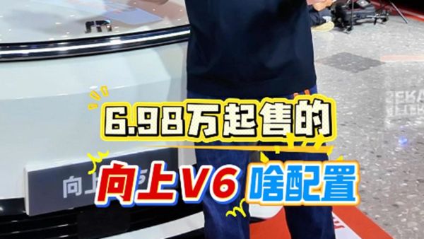 是豪华MPV也是颜值超高新能源物流车，6.98万起售的鑫源向上V6，能火吗？
