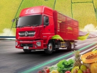 秋季“贴秋膘”指南