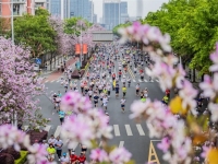 绝美卡车配绝美跑道,柳马第二年乘龙家族又上新